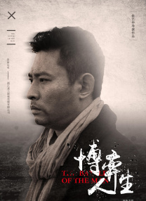 十二个女人